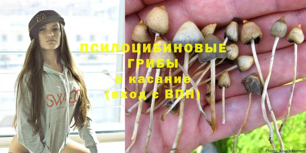 молекула духа Кинешма