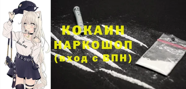 шишки Карпинск