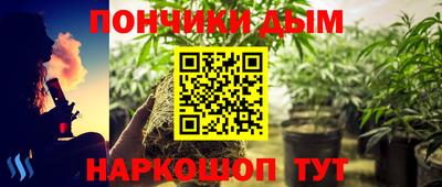 дурь Кимры