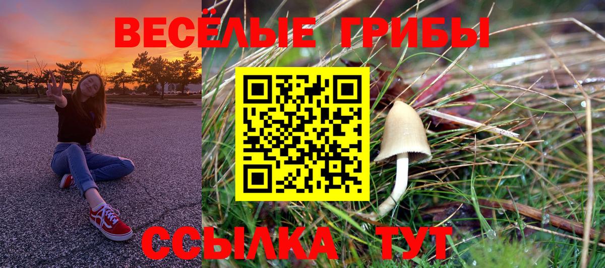 Галлюциногенные грибы MAGIC MUSHROOMS  Псилоцибиновые грибы Magic Shrooms  Киров 