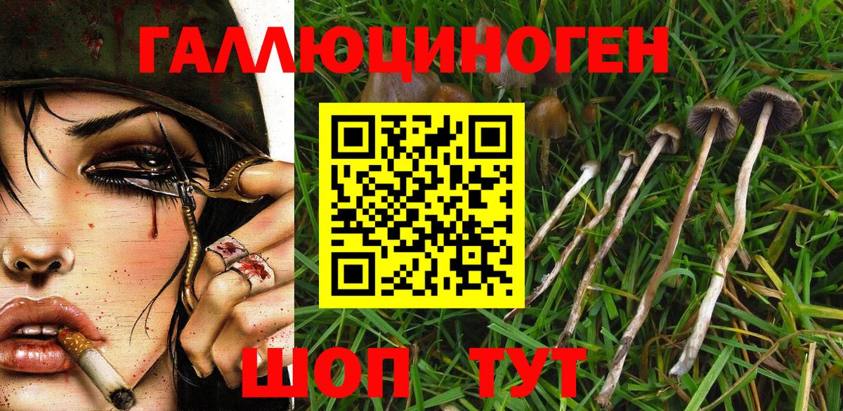 Конопля Киров