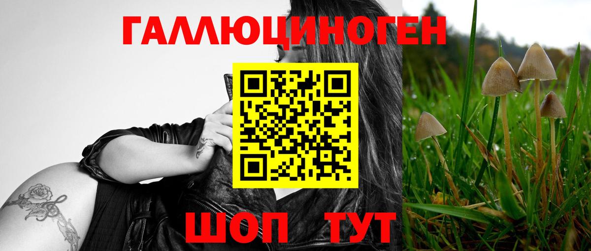 Галлюциногенные грибы мухоморы  Галлюциногенные грибы мицелий  Киров  Вход с VPN 